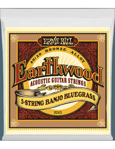 Jeu 5 cordes ErnieBall Banjo Bluegrass