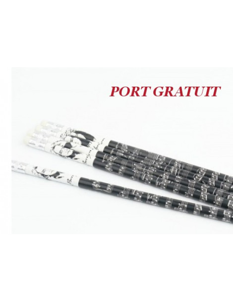 Papeterie et Gadgets - Crayon papier Noir Beethoven et gomme - CRAYON-BEETHOVEN - a-Gift-Republic - La Maison de la Corde
