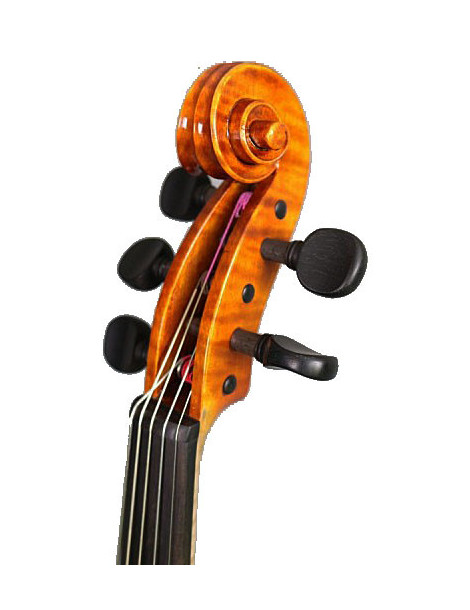 Violon électrique 5 cordes RG-EVIOLINS CLV-5 CLV05 RG-eviolins