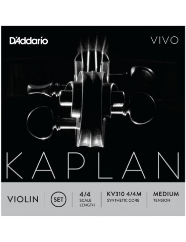 Corde Violon Kaplan VIVO SOL