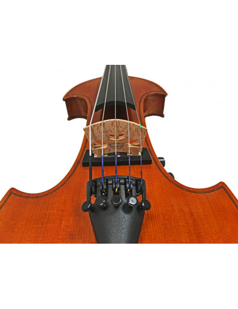 Violon électrique 5 cordes RG-EVIOLINS CLV-5 CLV05 RG-eviolins