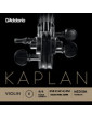 Kaplan Solutions