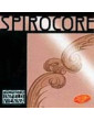Spirocore Orchestre