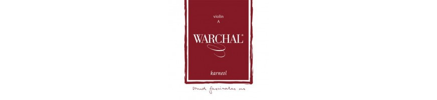 Cordes violon Warchal Karneol