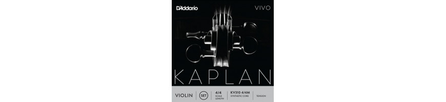 Cordes violon Kaplan Vivo