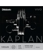 Kaplan Vivo