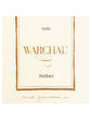 Warchal Amber