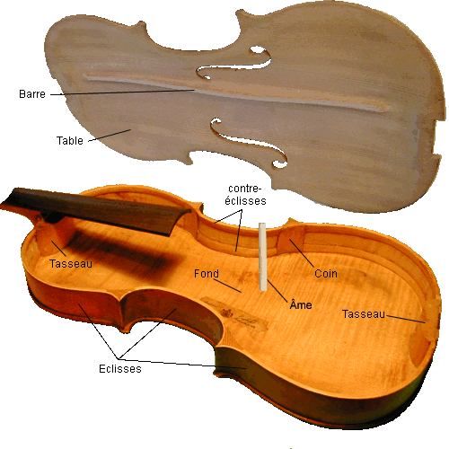 vue intérieur violon