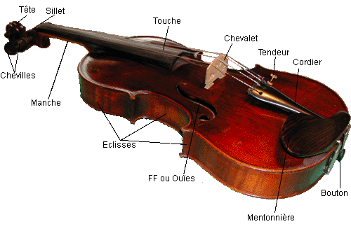 violon corde
